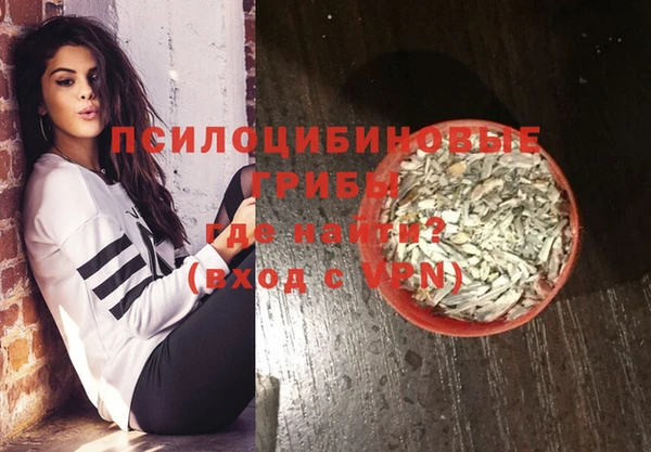 ECSTASY Ветлуга