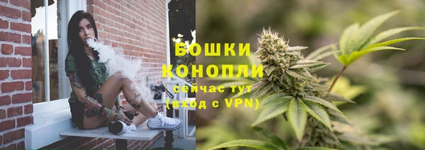 стаф Нефтегорск