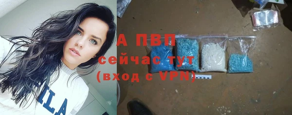 стаф Нефтегорск