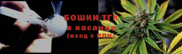 стаф Нефтегорск