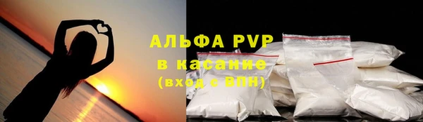стаф Нефтегорск