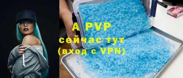 тгк Новозыбков