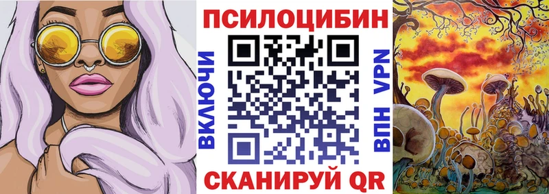 дарнет шоп  Гаврилов Посад  Псилоцибиновые грибы ЛСД 