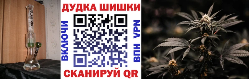 Каннабис планчик  hydra   Гаврилов Посад 